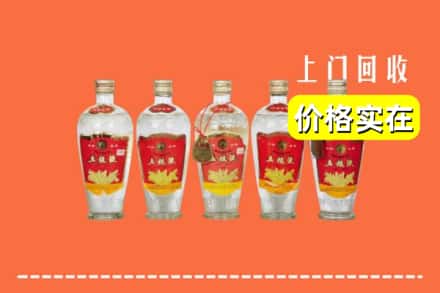 诚信求购:榆林吴堡县高价回收老五粮液